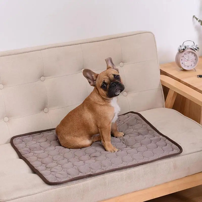 Washable Cooling Dog Mat for Summer Resting