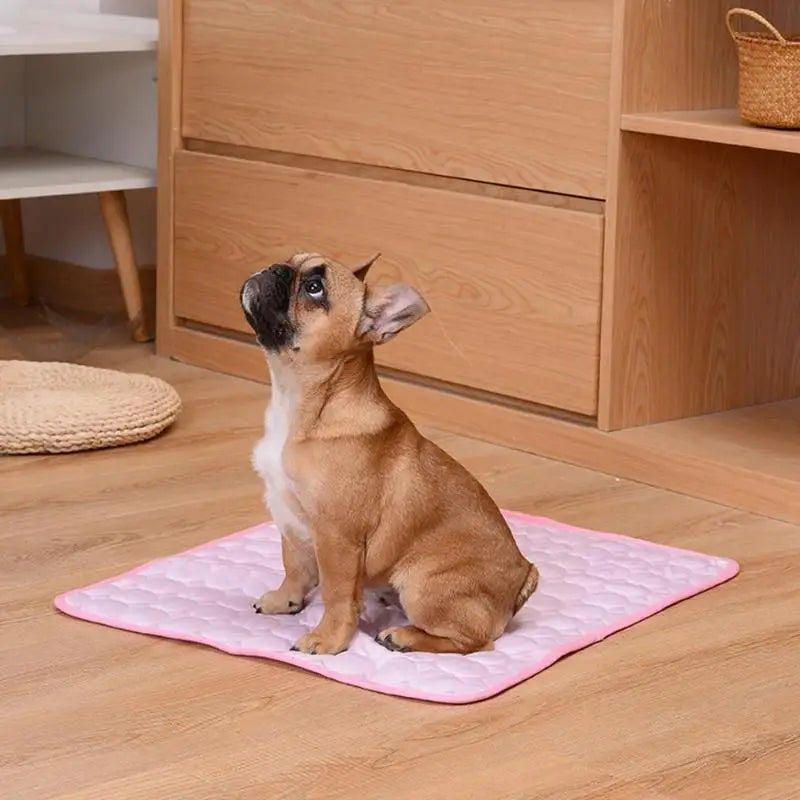 Washable Cooling Dog Mat for Summer Resting