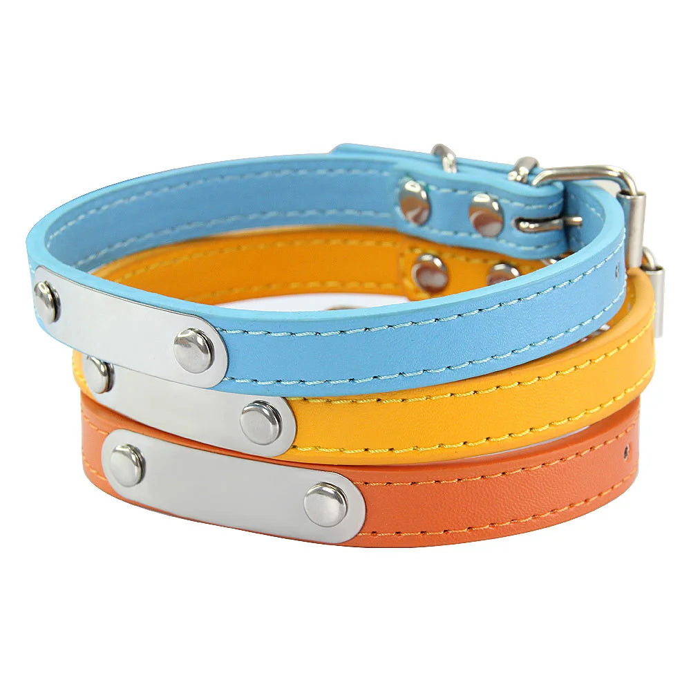 Personalized Dog Collar with Engraved Nameplate