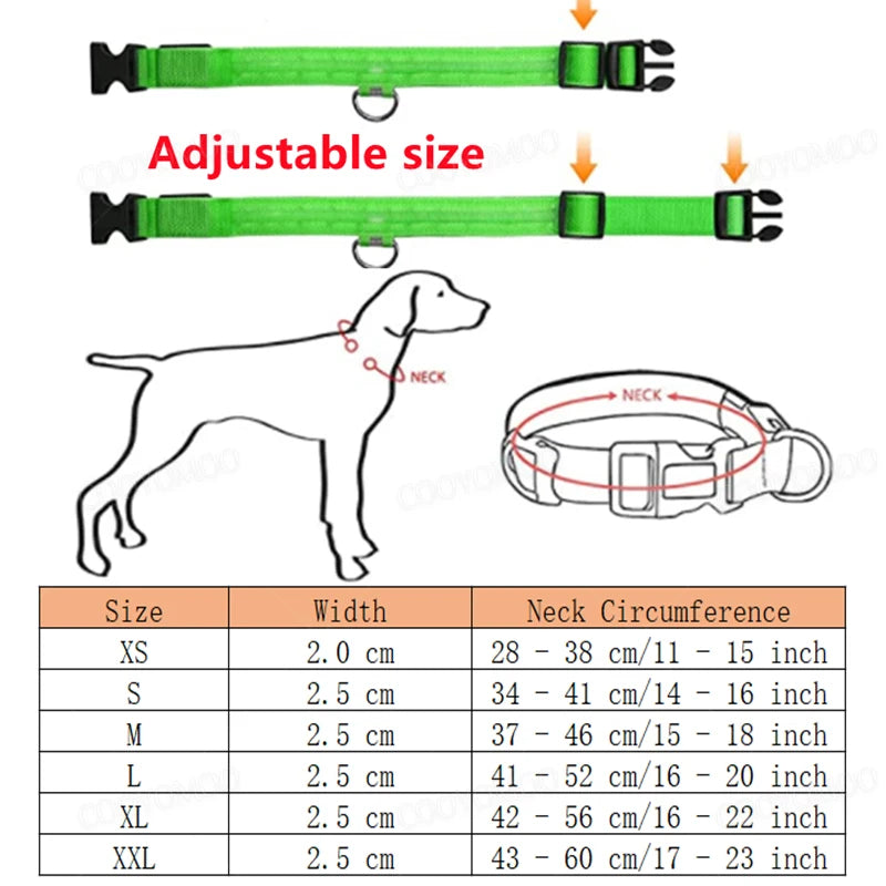 USB Rechargeable LED Dog Collar with 3 Light Modes
