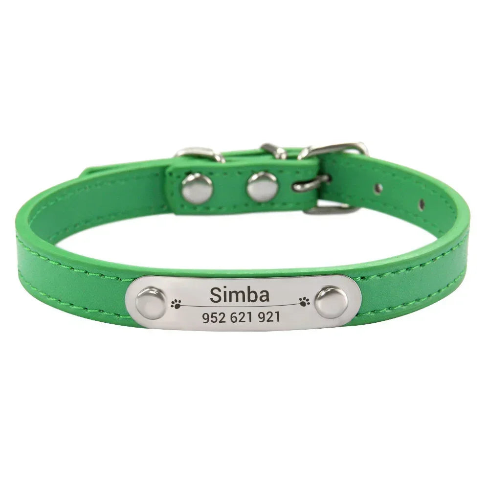 Personalized Dog Collar with Engraved Nameplate