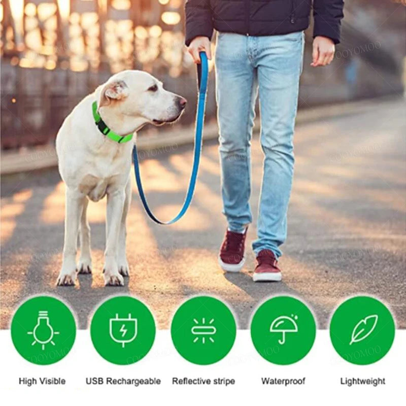 USB Rechargeable LED Dog Collar with 3 Light Modes