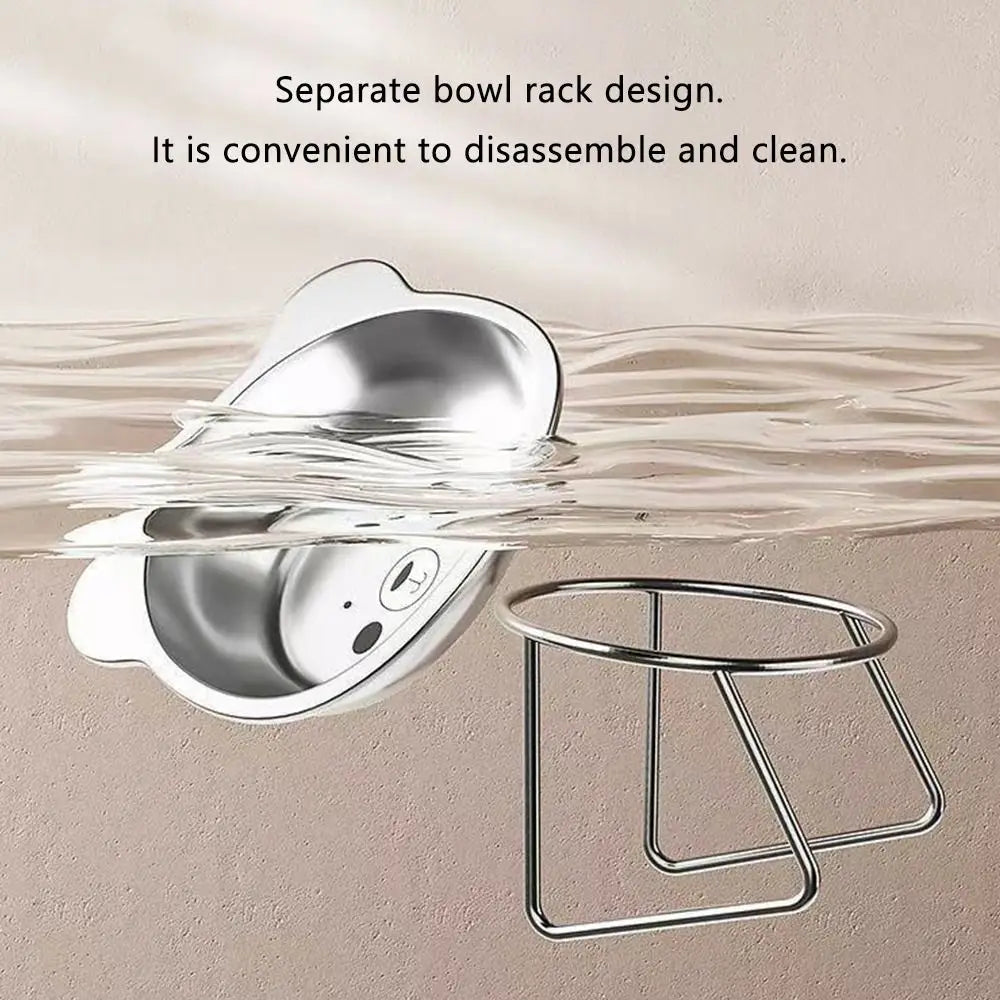 Raised Stainless Steel Cat Bowl with Tilted Stand