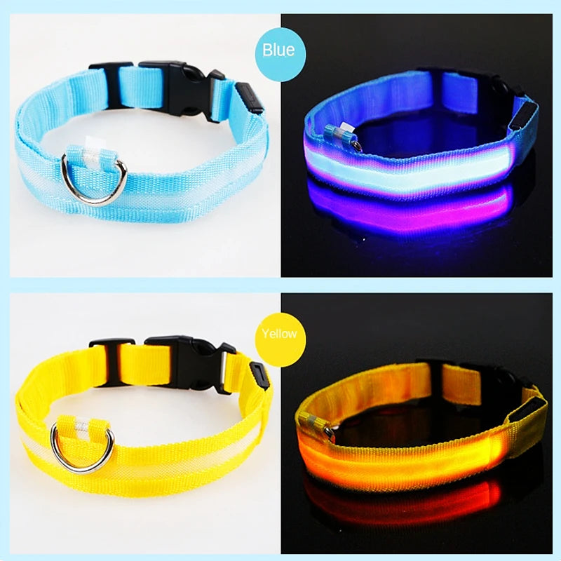 USB Rechargeable LED Dog Collar with 3 Light Modes