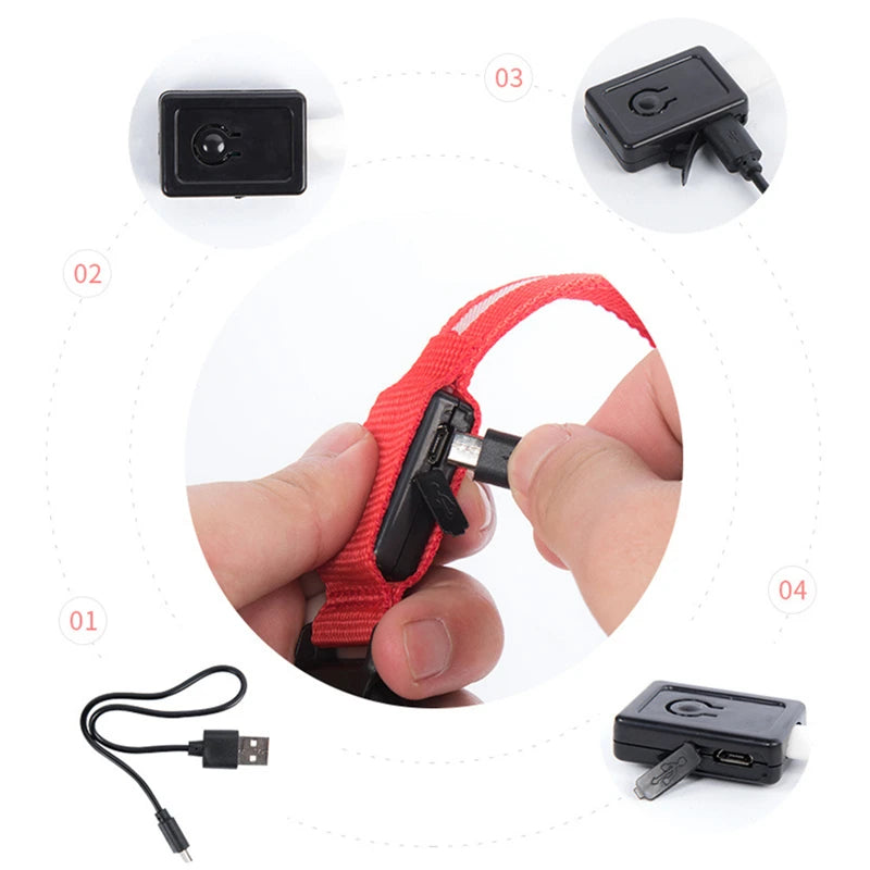 USB Rechargeable LED Dog Collar with 3 Light Modes