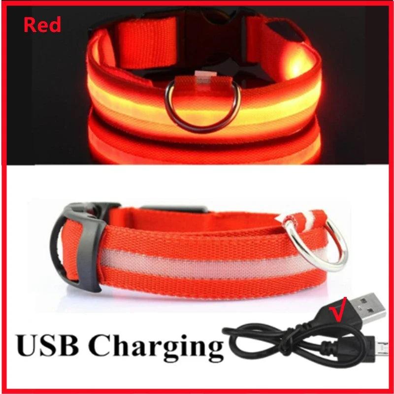 USB Rechargeable LED Dog Collar with 3 Light Modes