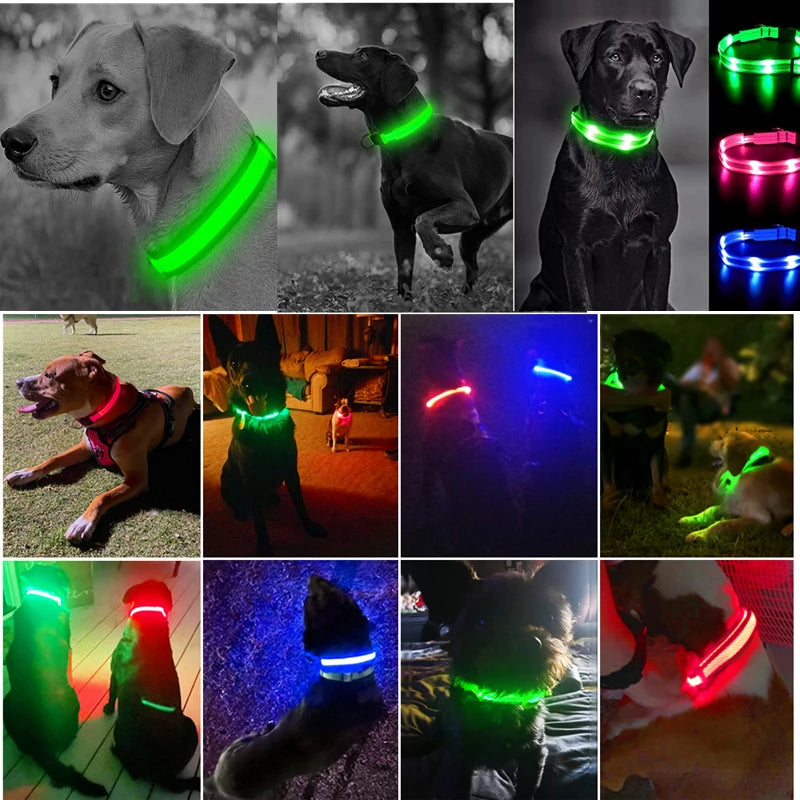 USB Rechargeable LED Dog Collar with 3 Light Modes
