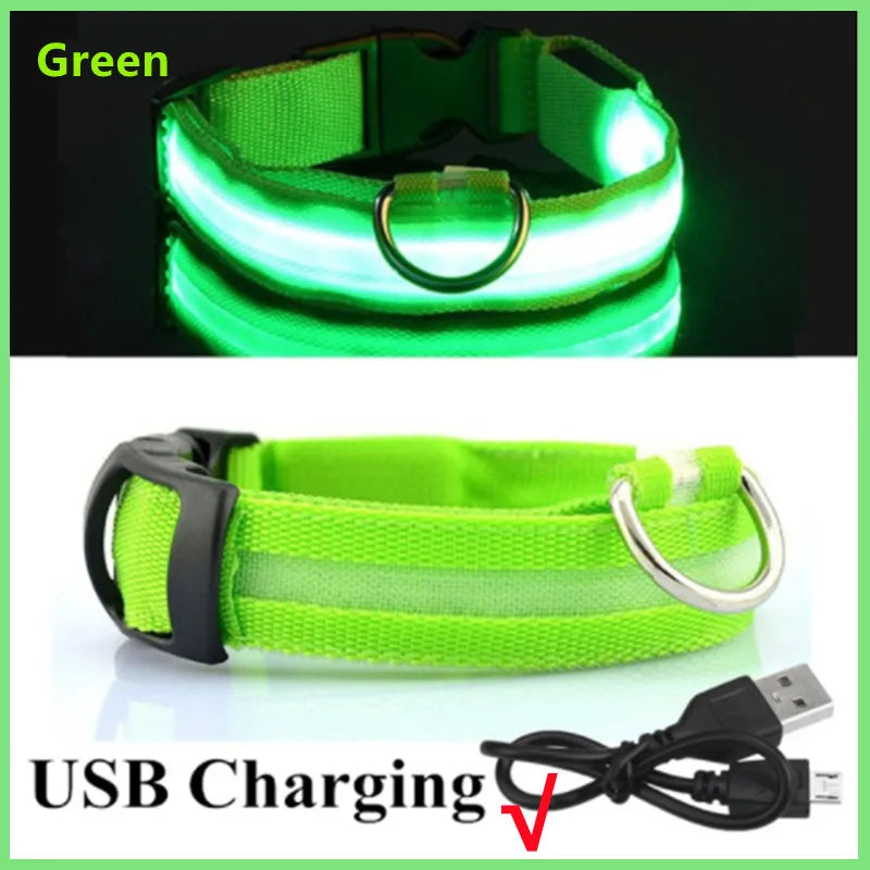 USB Rechargeable LED Dog Collar with 3 Light Modes