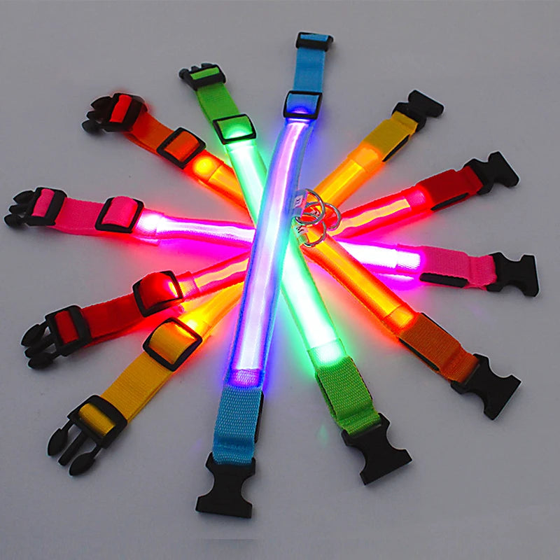 USB Rechargeable LED Dog Collar with 3 Light Modes
