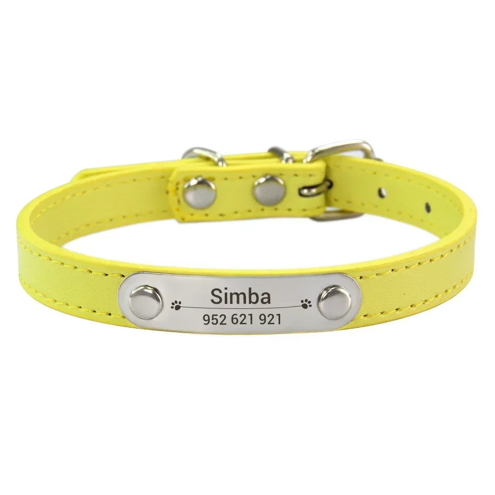 Personalized Dog Collar with Engraved Nameplate
