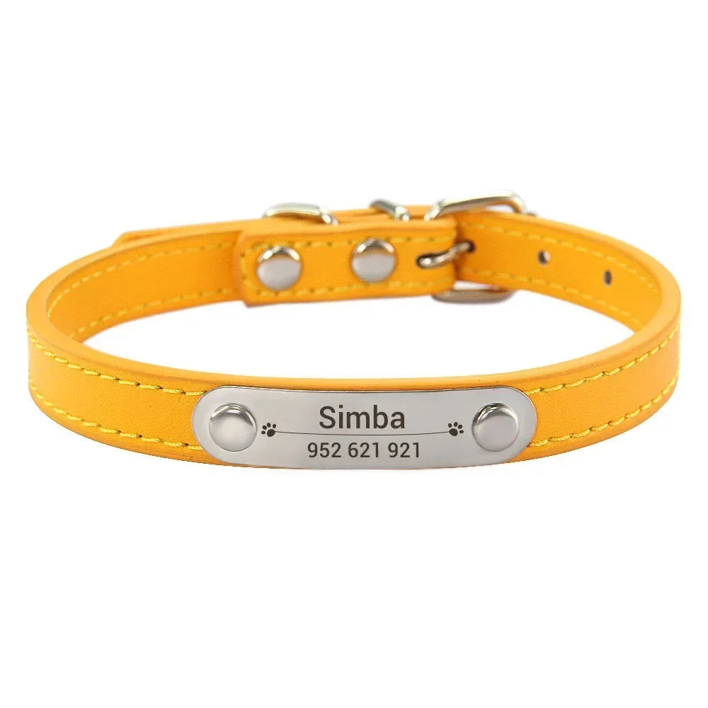 Personalized Dog Collar with Engraved Nameplate