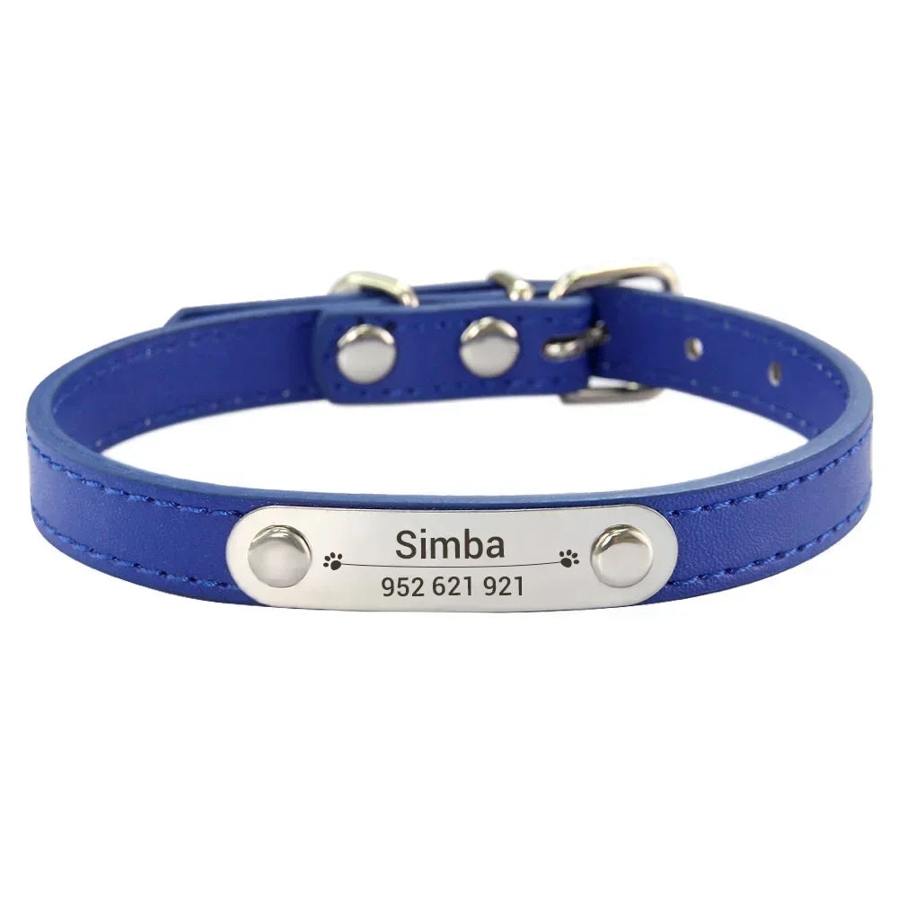 Personalized Dog Collar with Engraved Nameplate