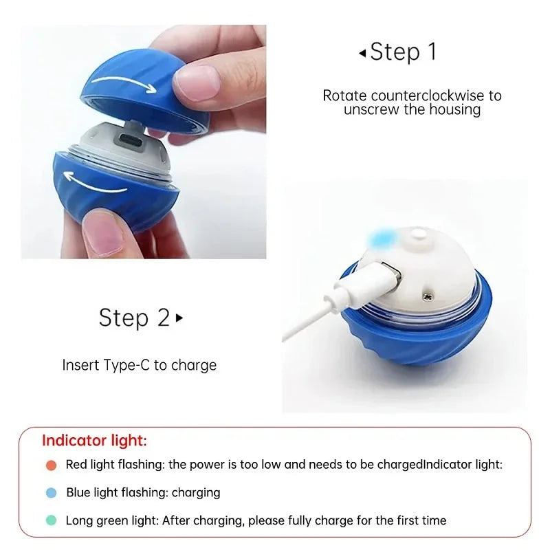 USB Rechargeable Moving Dog Ball