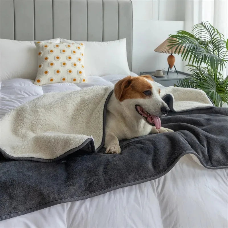 Waterproof Pet Blanket for Dogs & Cats