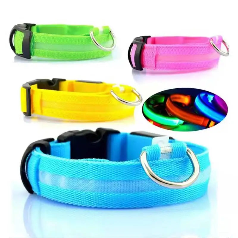 USB Rechargeable LED Dog Collar with 3 Light Modes