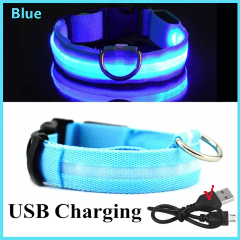 USB Rechargeable LED Dog Collar with 3 Light Modes