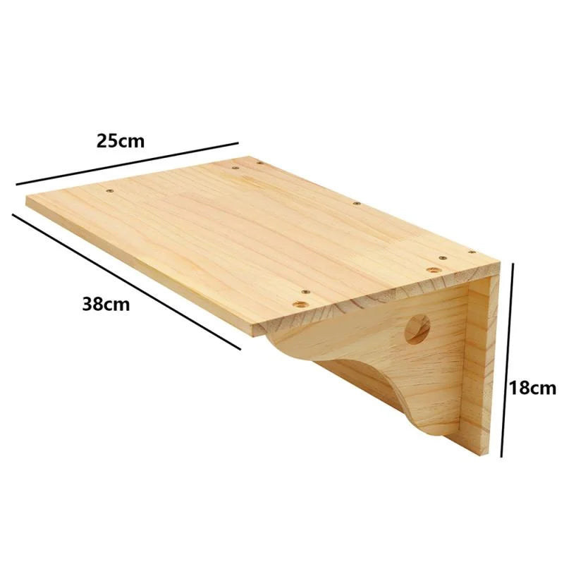 Wall-Mounted Cat Shelves & Climbing Furniture
