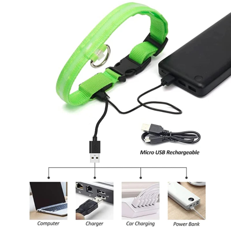 USB Rechargeable LED Dog Collar with 3 Light Modes