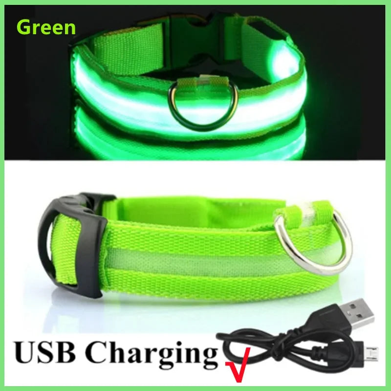 USB Rechargeable LED Dog Collar with 3 Light Modes
