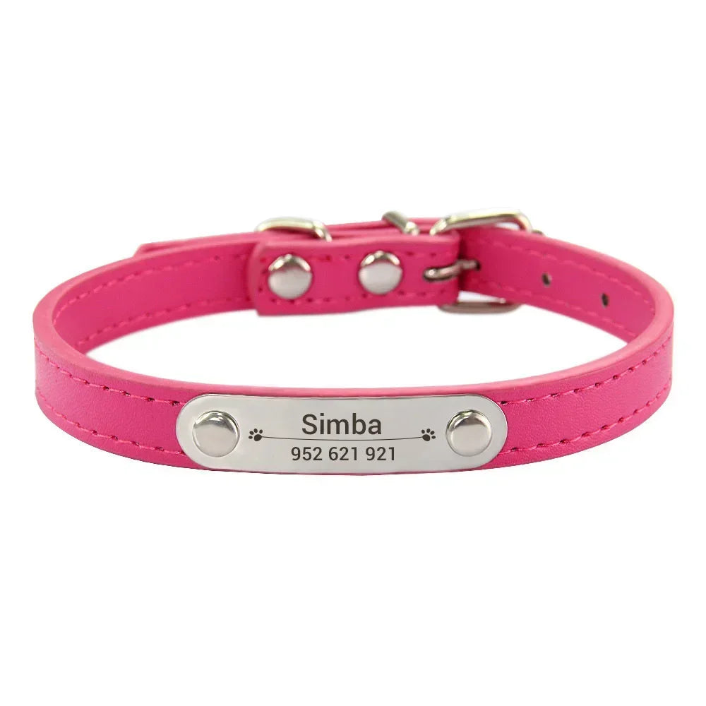Personalized Dog Collar with Engraved Nameplate