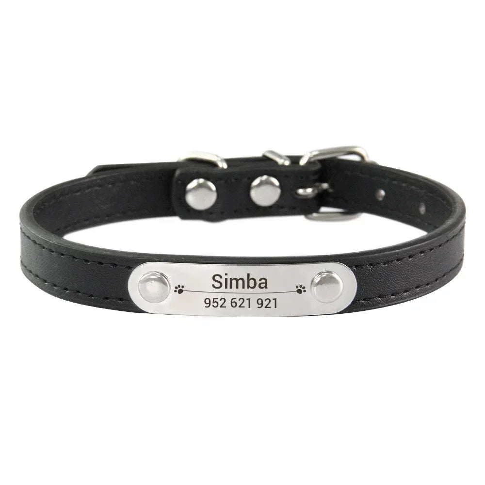 Personalized Dog Collar with Engraved Nameplate