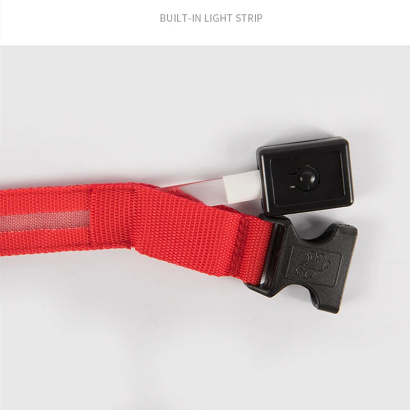 USB Rechargeable LED Dog Collar with 3 Light Modes