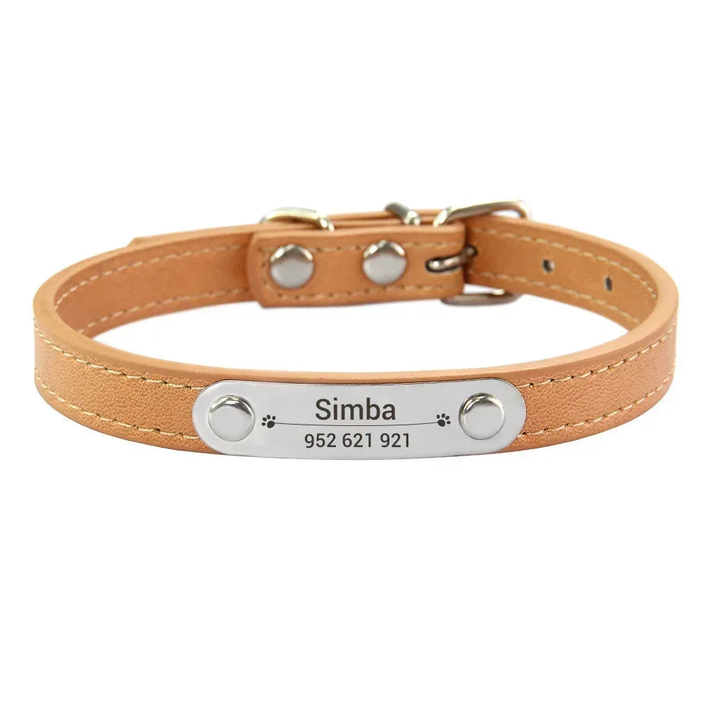 Personalized Dog Collar with Engraved Nameplate