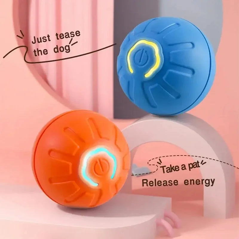 USB Rechargeable Moving Dog Ball