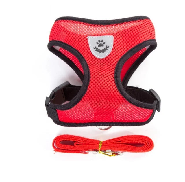 Reflective Mesh Cat Harness & Leash Set
