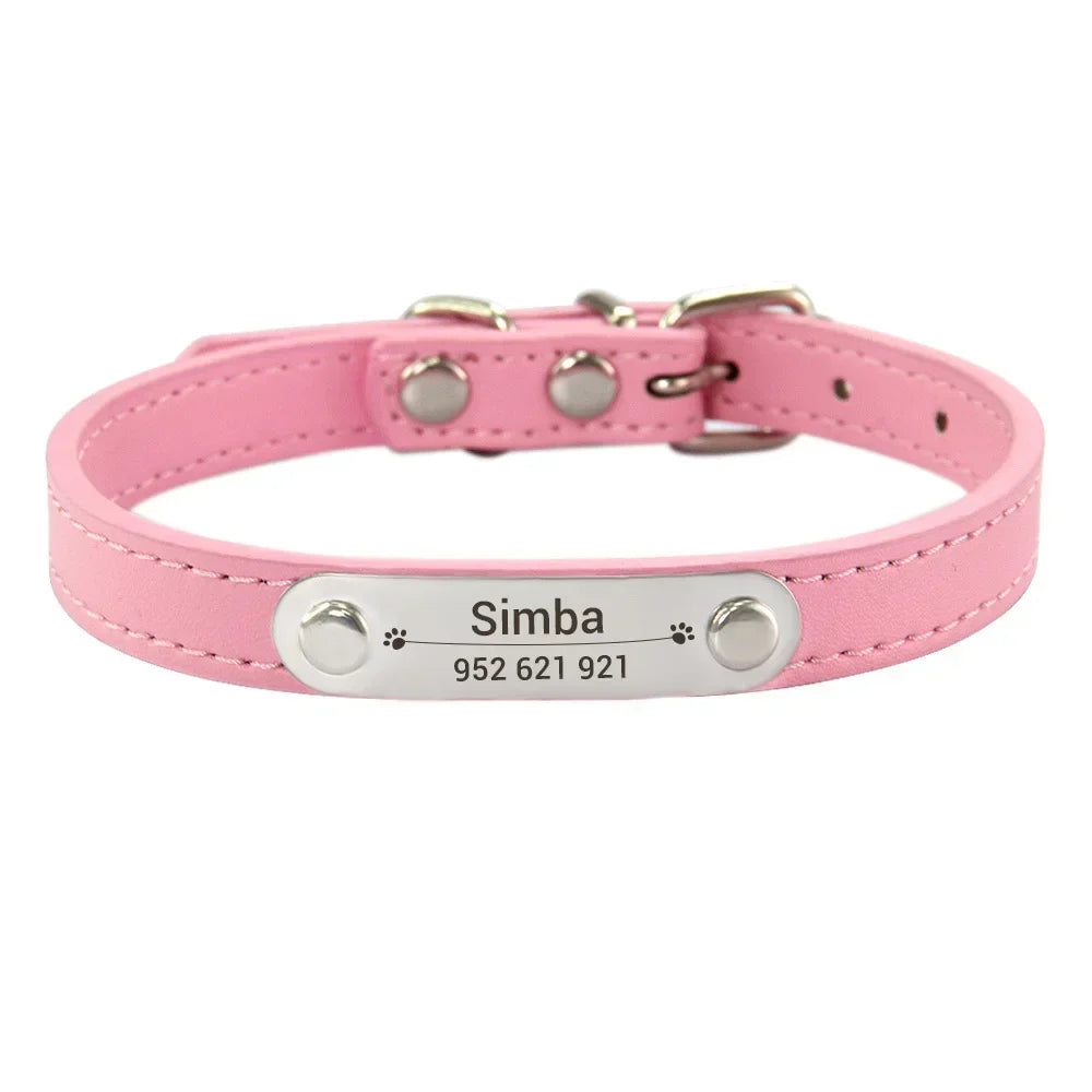 Personalized Dog Collar with Engraved Nameplate