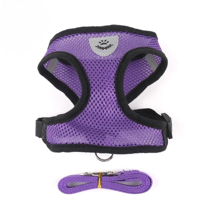 Reflective Mesh Cat Harness & Leash Set