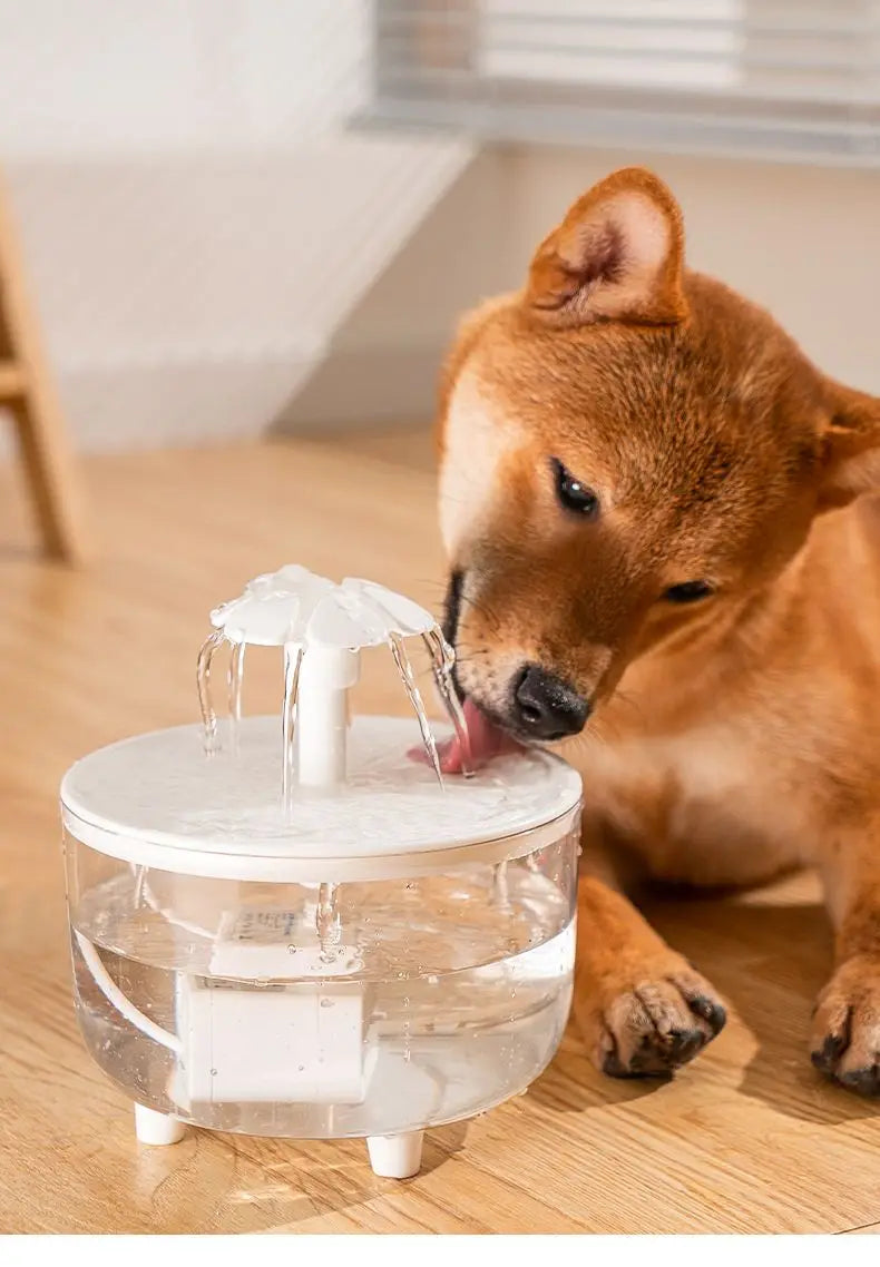 1L USB Cat Water Fountain