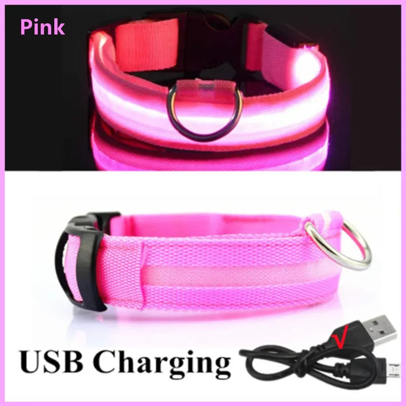 USB Rechargeable LED Dog Collar with 3 Light Modes
