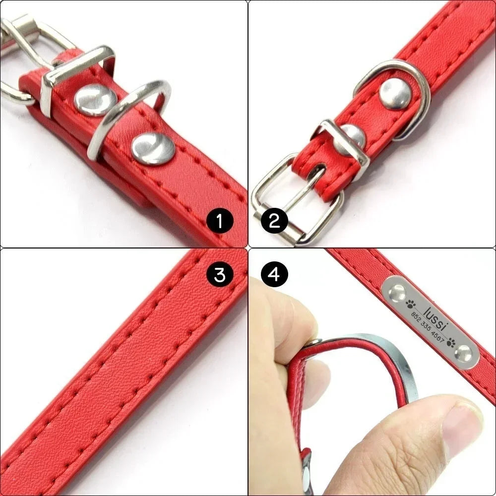 Personalized Dog Collar with Engraved Nameplate
