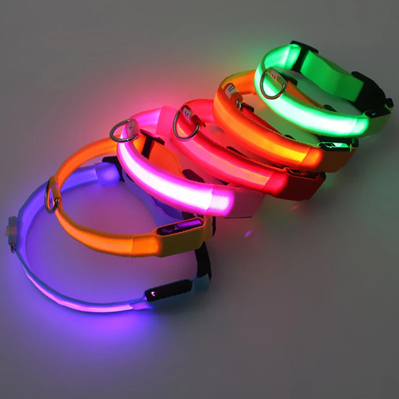 USB Rechargeable LED Dog Collar with 3 Light Modes