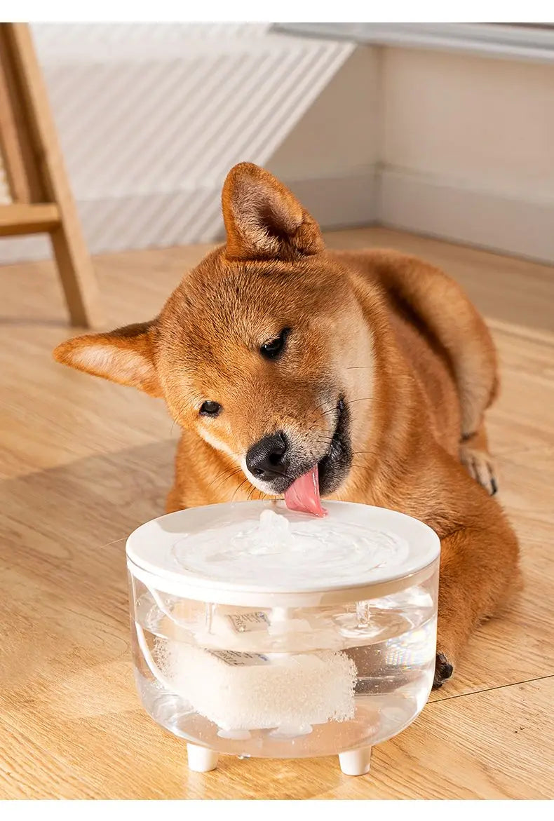 1L USB Cat Water Fountain
