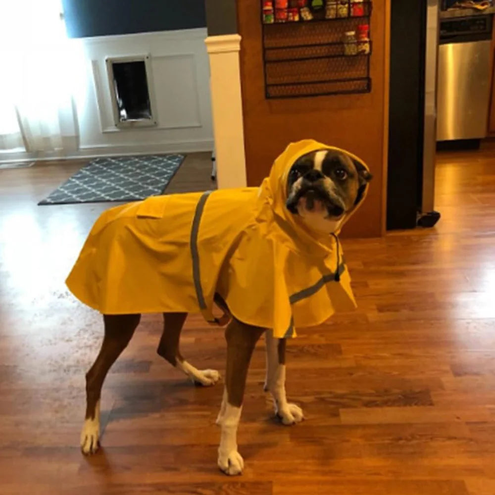 Hooded Dog Raincoat with Reflective Detail
