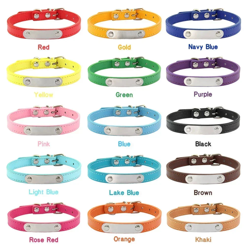 Personalized Dog Collar with Engraved Nameplate