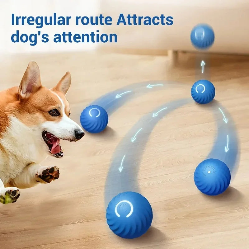 USB Rechargeable Moving Dog Ball