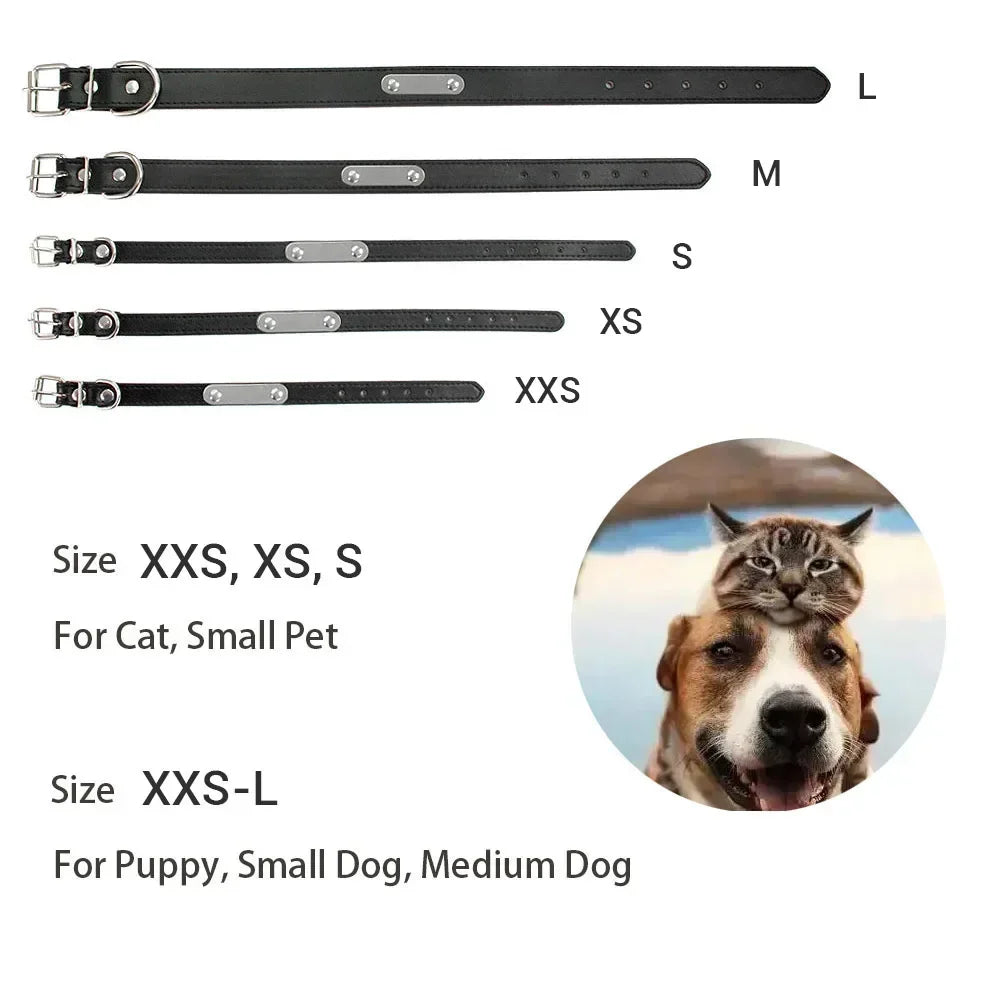 Personalized Dog Collar with Engraved Nameplate