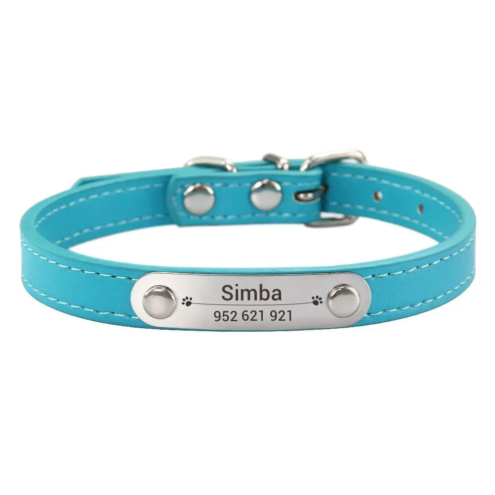 Personalized Dog Collar with Engraved Nameplate