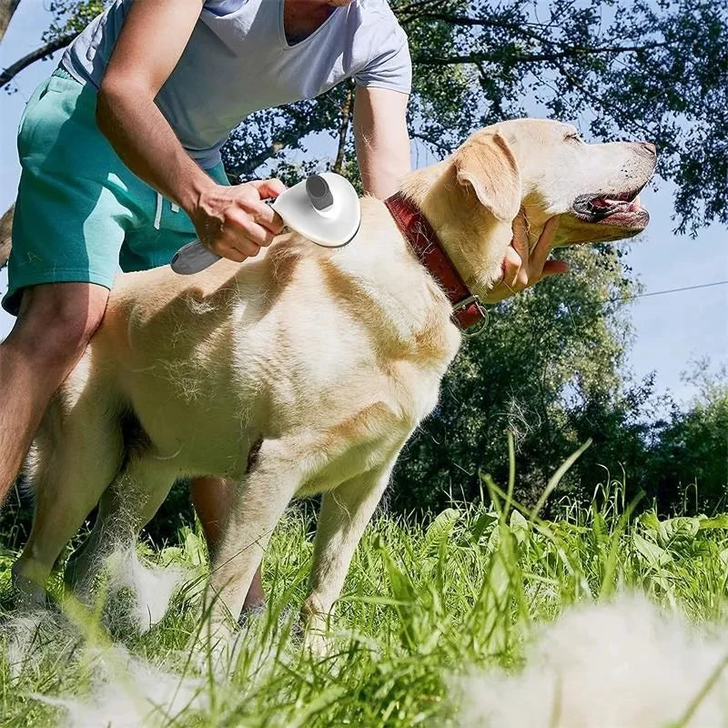 Self-Cleaning Pet Brush with Comfort-Grip Handle