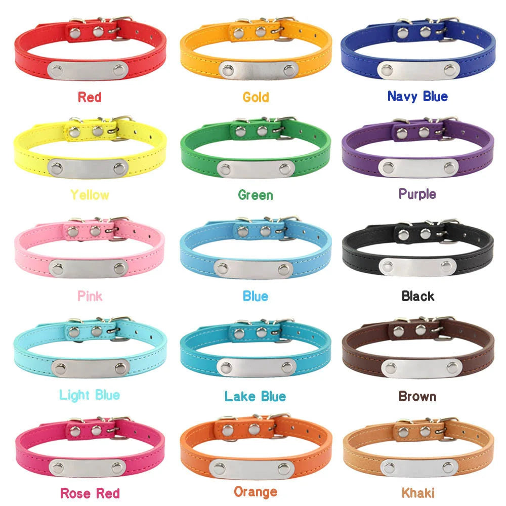 Personalized Dog Collar with Engraved Nameplate