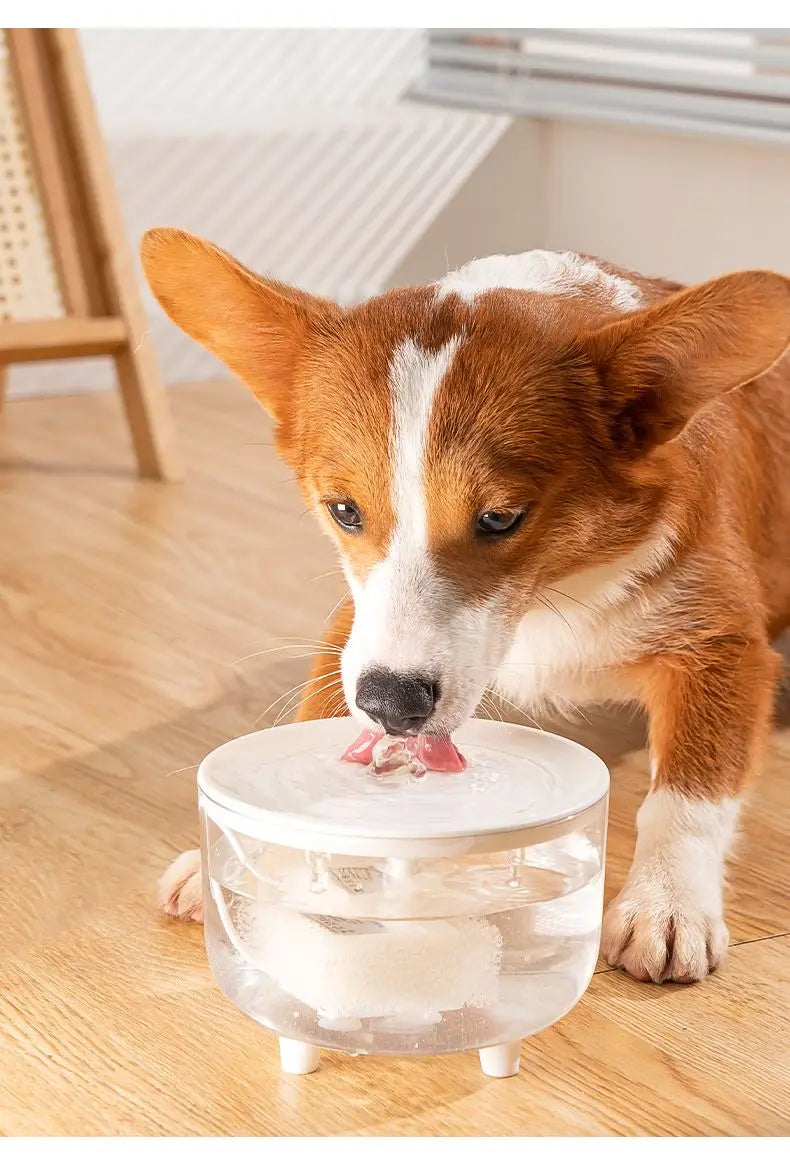 1L USB Cat Water Fountain
