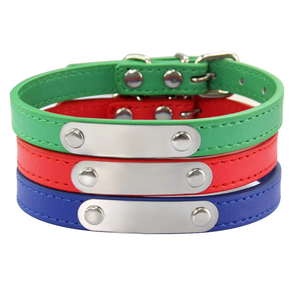 Personalized Dog Collar with Engraved Nameplate