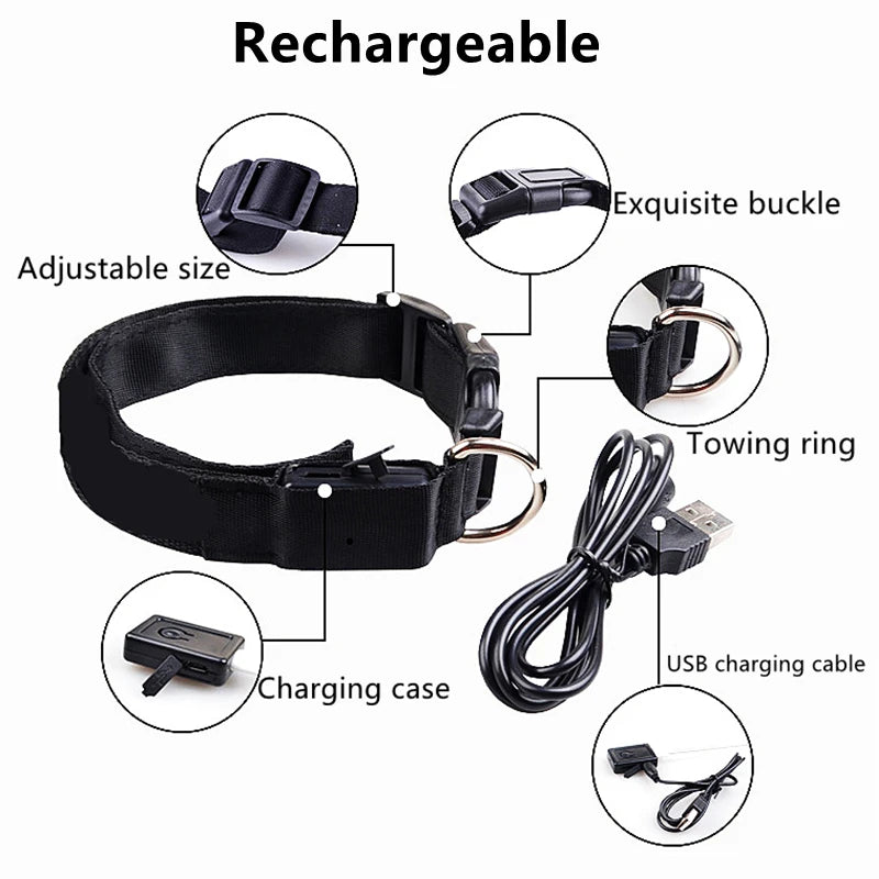 USB Rechargeable LED Dog Collar with 3 Light Modes