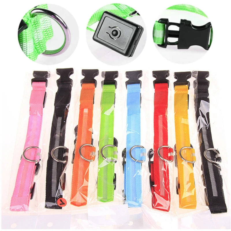 USB Rechargeable LED Dog Collar with 3 Light Modes