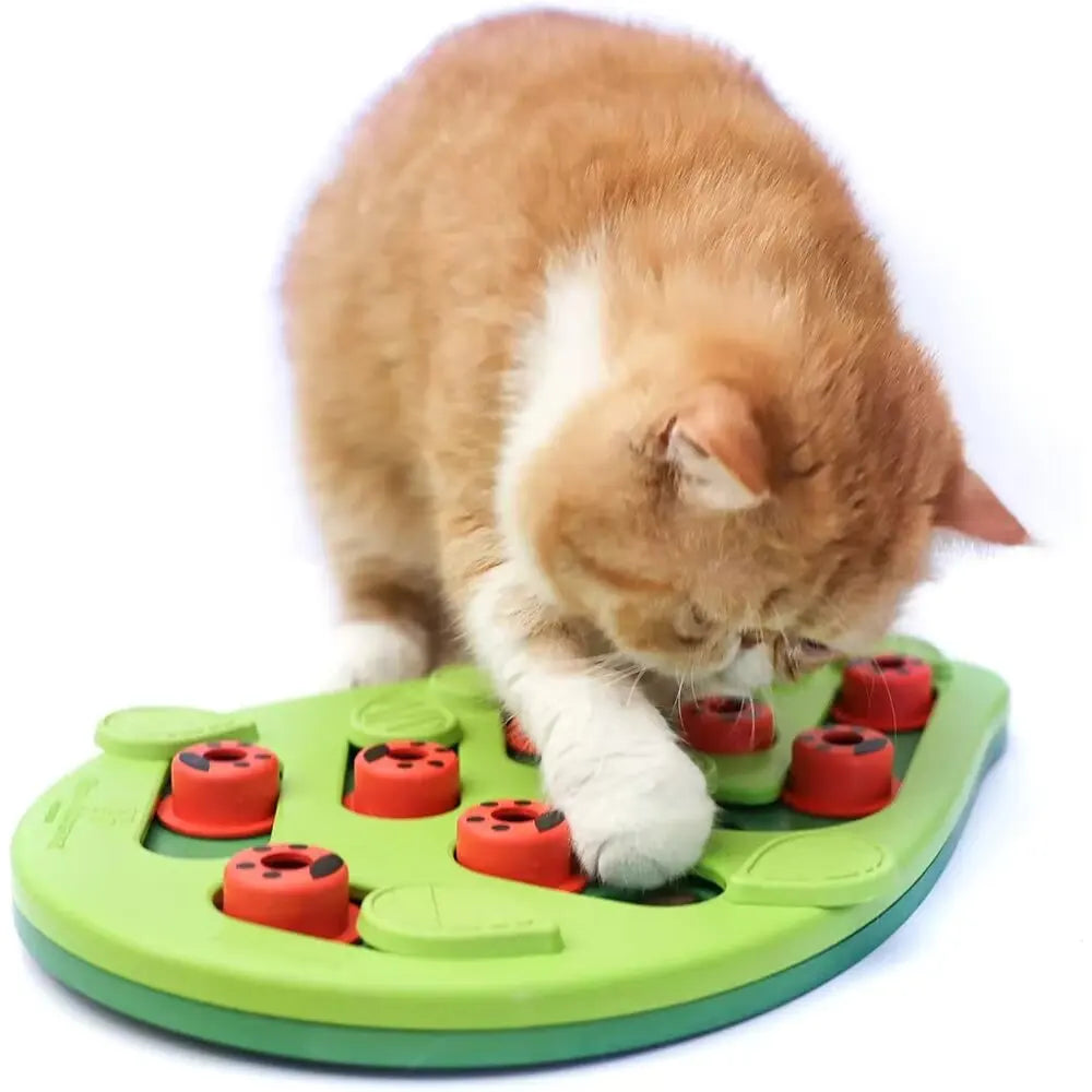 Cat Treat Puzzle with Adjustable Difficulty