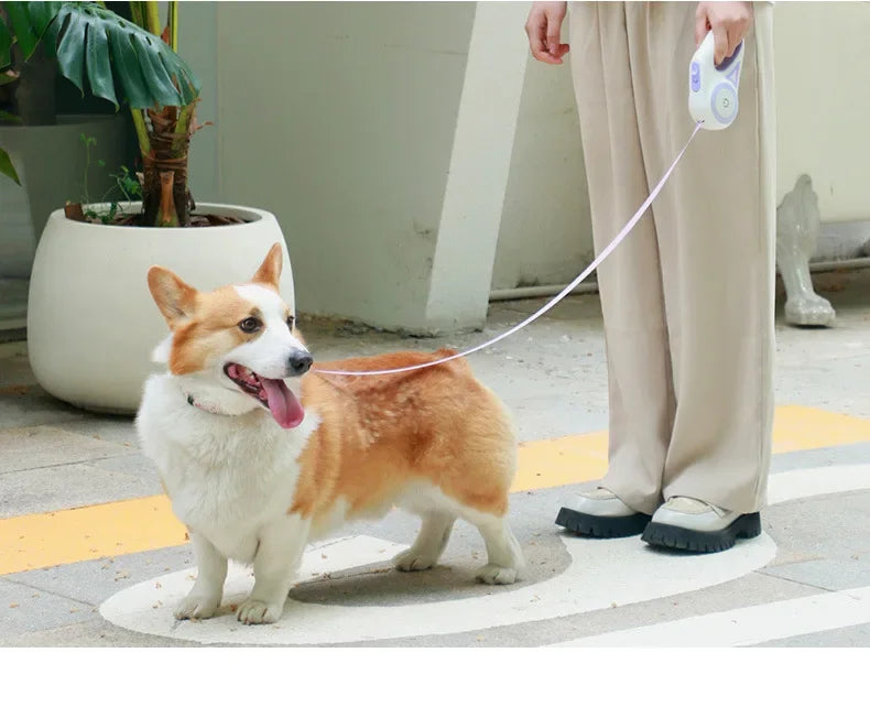 Retractable Dog Leash with LED Light