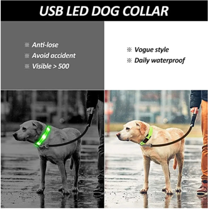 USB Rechargeable LED Dog Collar with 3 Light Modes
